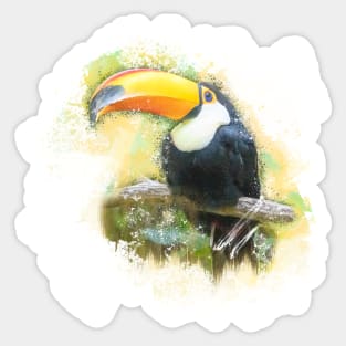 Toucan Toco Bird Animal Wildlife Forest Jungle Nature Watercolor Sticker